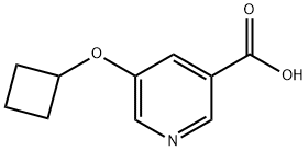 5-Cyclobutoxypyridine-3-carboxylic acid Structure