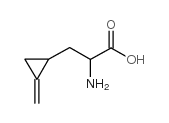 Cyclopropanepropanoicacid, a-amino-2-methylene-, (aS,1R)-结构式