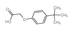 4-tert-Butylphenoxyacetic acid picture