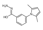 3-(2,5-dimethylpyrrol-1-yl)benzohydrazide Structure