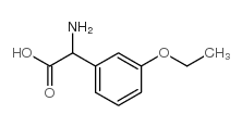 amino-(3-ethoxy-phenyl)-acetic acid picture