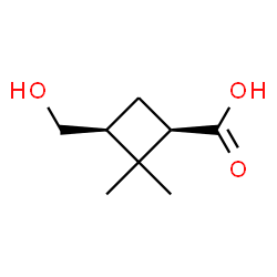 Cyclobutanecarboxylic acid, 3-(hydroxymethyl)-2,2-dimethyl-, (1R,3S)- (9CI)结构式