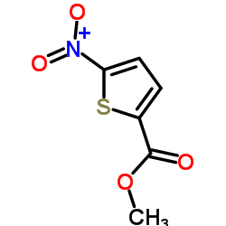 Methyl 5-nitrothiophene-2-carboxylate picture