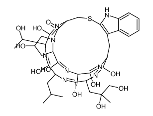 Leu1-phalloidin Structure