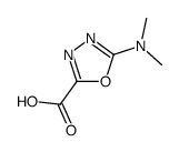 5-dimethylamino-1,3,4-oxadiazole 2-carboxylic acid Structure