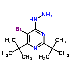 5-Bromo-2,4-di-tert-butyl-6-hydrazinopyrimidine结构式