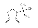 1-tert-butylpyrrolidine-2,3-dione picture