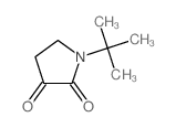 1-tert-butylpyrrolidine-2,3-dione structure