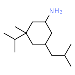 Cyclohexanamine, 3-methyl-3-(1-methylethyl)-5-(2-methylpropyl)- (9CI)结构式