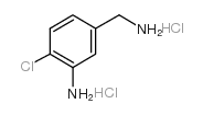 3-AMINO-4-CHLORO-BENZENEMETHANAMINE DIHYDROCHLORIDE picture