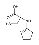 (2R)-2-(3,4-dihydro-2H-pyrrol-5-ylamino)-3-sulfanylpropanoic acid结构式
