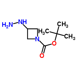 3-肼基氮杂环丁烷-1-羧酸叔丁酯结构式