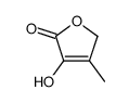 4-hydroxy-3-methyl-2H-furan-5-one图片