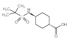 TRANS-4-(1,1-DIMETHYLETHYLSULFONAMIDO)CYCLOHEXANECARBOXYLIC ACID structure