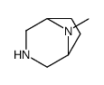8-methyl-3,8-diazabicyclo[3.2.1]octane Structure