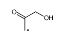 3-hydroxy-2-oxo-propyl Structure