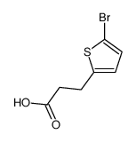 3-(5-bromothiophen-2-yl)propanoic acid structure