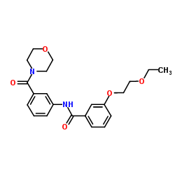 3-(2-Ethoxyethoxy)-N-[3-(4-morpholinylcarbonyl)phenyl]benzamide结构式