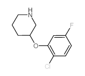 3-(2-Chloro-5-fluorophenoxy)piperidine Structure