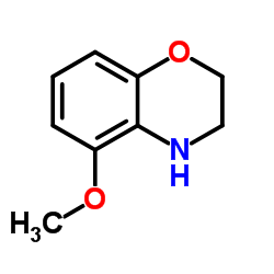 5-甲氧基-3,4-二氢-2H-苯并[b][1,4]噁嗪结构式