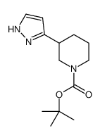 3-(1H-吡唑-3-基)哌啶-1-羧酸叔丁酯结构式