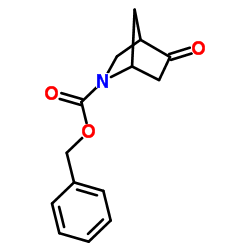 benzyl 5-oxo-2-azabicyclo[2.2.1]heptane-2-carboxylate Structure