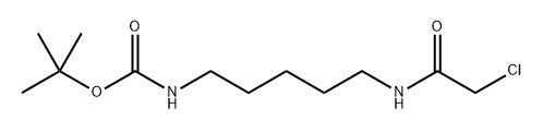 tert-butyl (5-(2-chloroacetamido)pentyl)carbamate图片