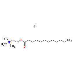 Lauroylcholine Chloride Hydrate Structure