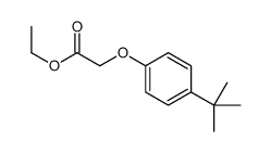 ethyl [4-(1,1-dimethylethyl)phenoxy]acetate structure