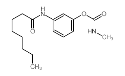 [3-(octanoylamino)phenyl] N-methylcarbamate结构式