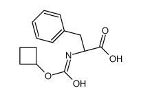 (2S)-2-(cyclobutyloxycarbonylamino)-3-phenylpropanoic acid结构式