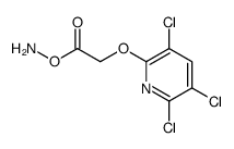 amino 2-(3,5,6-trichloropyridin-2-yl)oxyacetate structure