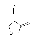 4-oxotetrahydrofuran-3-carbonitrile picture