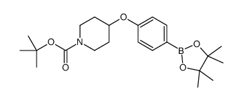 tert-butyl 4-[4-(tetramethyl-1,3,2-dioxaborolan-2-yl)phenoxy]piperidine-1-carboxylate picture