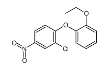 2-chloro-1-(2-ethoxyphenoxy)-4-nitrobenzene Structure
