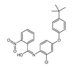 N-[4-(4-tert-butylphenoxy)-2-chlorophenyl]-2-nitrobenzamide结构式