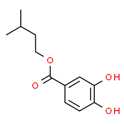 Benzoic acid, 3,4-dihydroxy-, 3-Methylbutyl ester picture