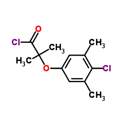 2-(4-Chloro-3,5-dimethylphenoxy)-2-methylpropanoyl chloride Structure