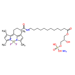 Difluoro[(2S)-2-hydroxy-3-(phosphonooxy)propyl 12-{[5-(3,5-dimethyl-1H-pyrrol-2-yl-κN)-5-(3,5-dimethyl-2H-pyrrol-2-ylidene-κN)pentanoyl]amino}dodecanoatato]boron ammoniate (1:1) Structure