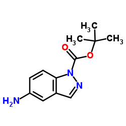 1-Boc-5-amino-1H-Indazole Structure