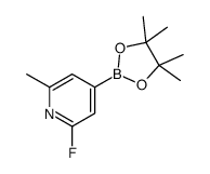 2-Fluoro-6-methylpyridine-4-boronic acid pinacol ester structure