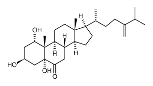 1,3,5-trihydroxy-24-methylenecholestan-6-one结构式