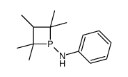 2,2,3,4,4-pentamethyl-N-phenylphosphetan-1-amine Structure