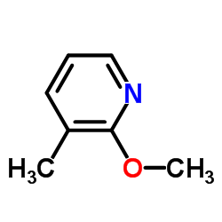 2-Methoxy-3-methylpyridine picture