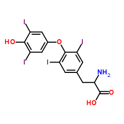 DL-Thyroxine picture