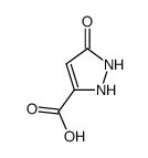 5-氧代-2,5-二氢-1H-吡唑-3-羧酸结构式