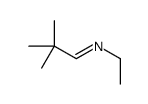 N-ethyl-2,2-dimethylpropan-1-imine结构式