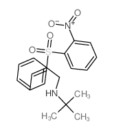 2-Propen-1-amine,N-(1,1-dimethylethyl)-2-[(2-nitrophenyl)sulfonyl]-3-phenyl- Structure