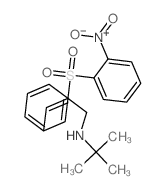 2-Propen-1-amine,N-(1,1-dimethylethyl)-2-[(2-nitrophenyl)sulfonyl]-3-phenyl-结构式