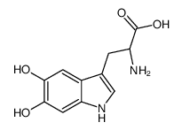 5,6-dihydroxytryptophan图片